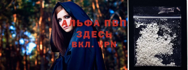 гашик Михайловск